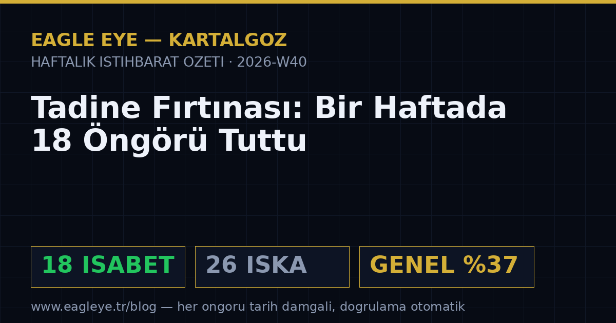 Tadine Fırtınası: Bir Haftada 18 Öngörü Tuttu
